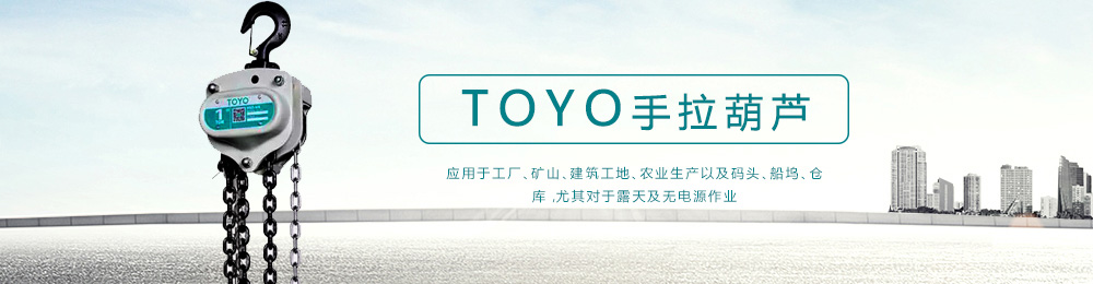 TOYO环链电动葫芦